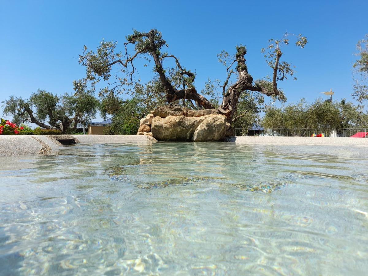 Carlo'S Hotel Castagneto Carducci Dış mekan fotoğraf